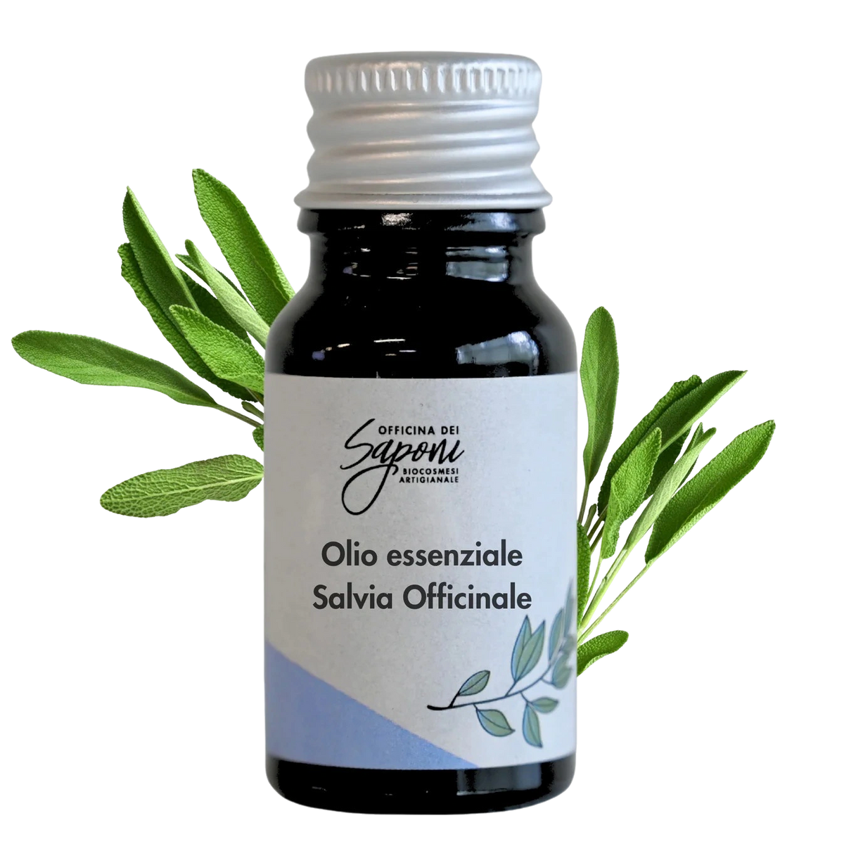 Salvia Officinale
