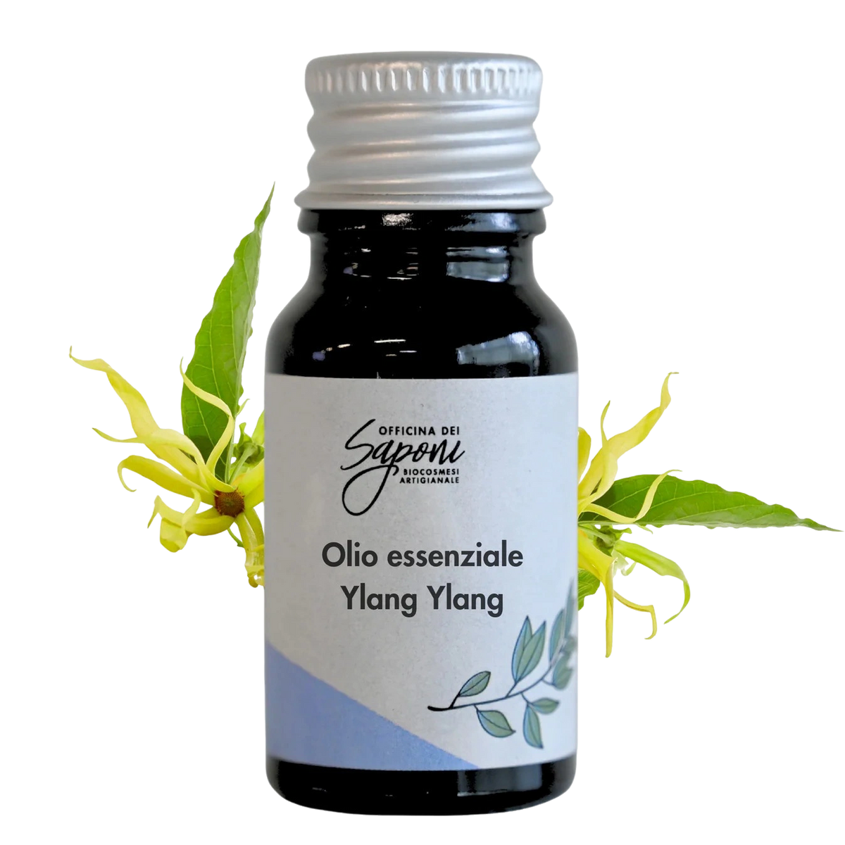 Ylang Ylang